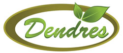 Extra Virgin Olive Oil for sale on Crete. Shipping worldwide. By DENDRES Olive oil products.